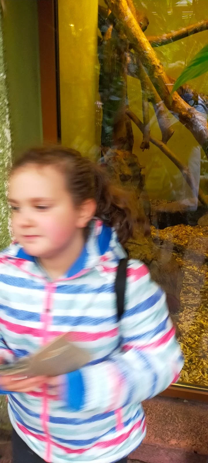 WhatsApp Image 2021-11-11 at 09.59.08.jpeg