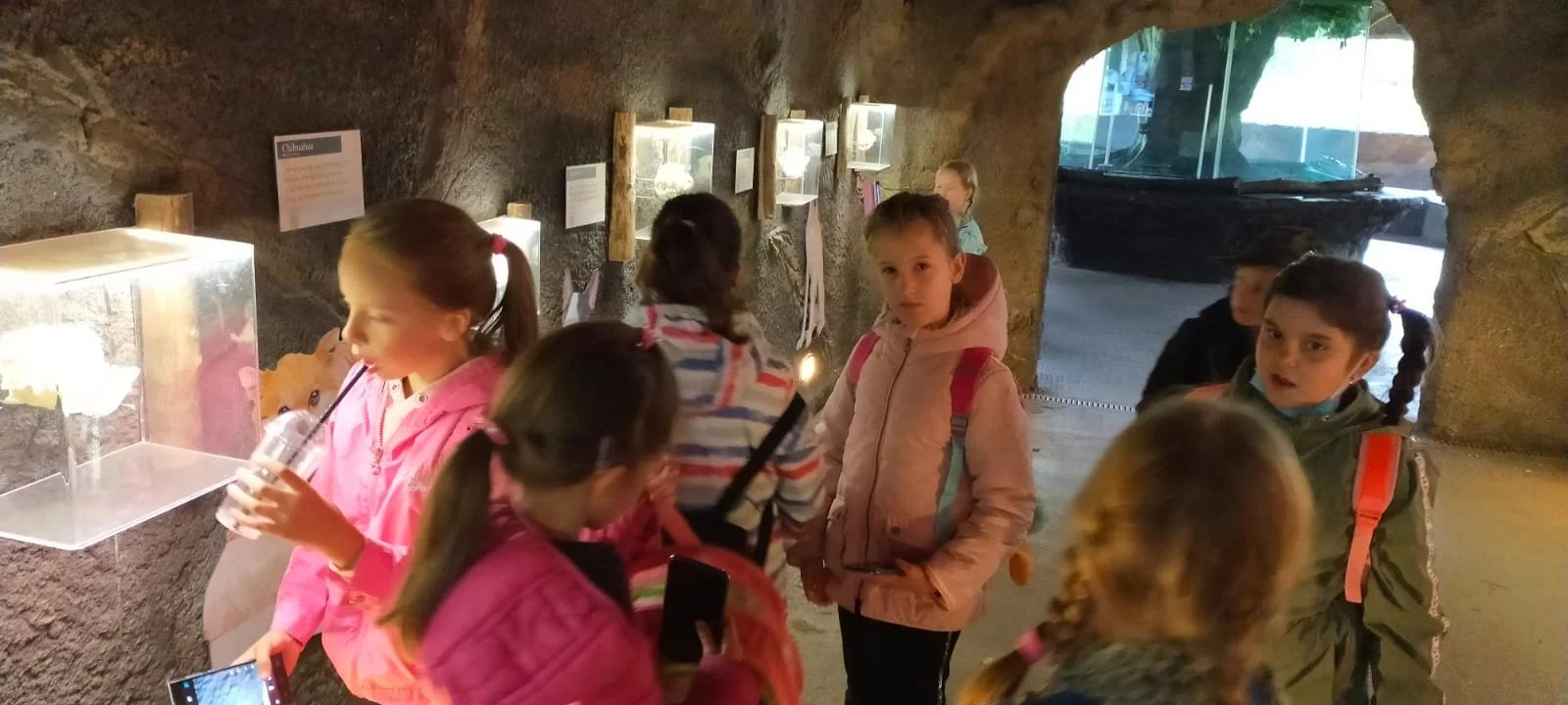 WhatsApp Image 2021-11-11 at 09.59.22.jpeg