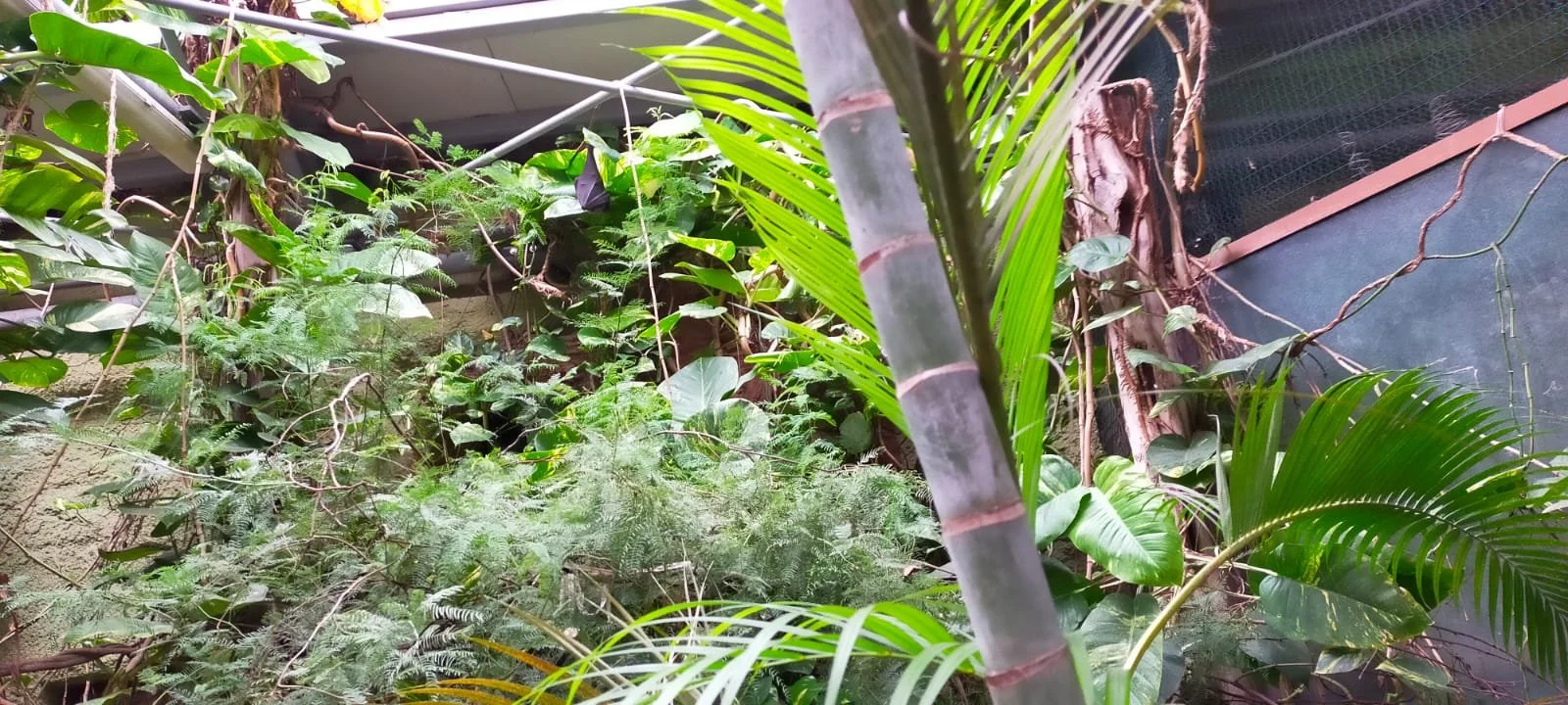 WhatsApp Image 2021-11-11 at 10.08.56.jpeg