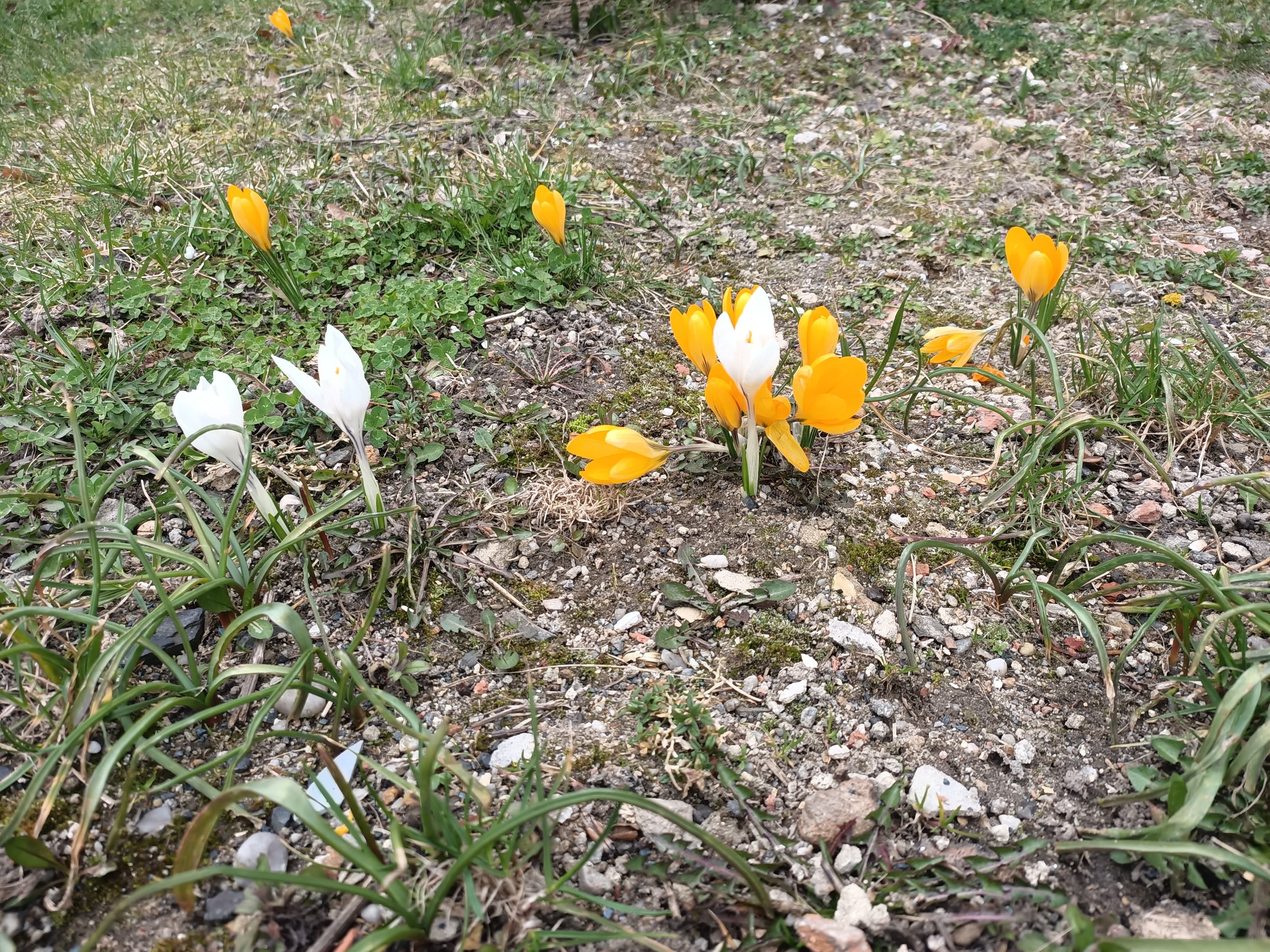 IMG20240314143119.jpg