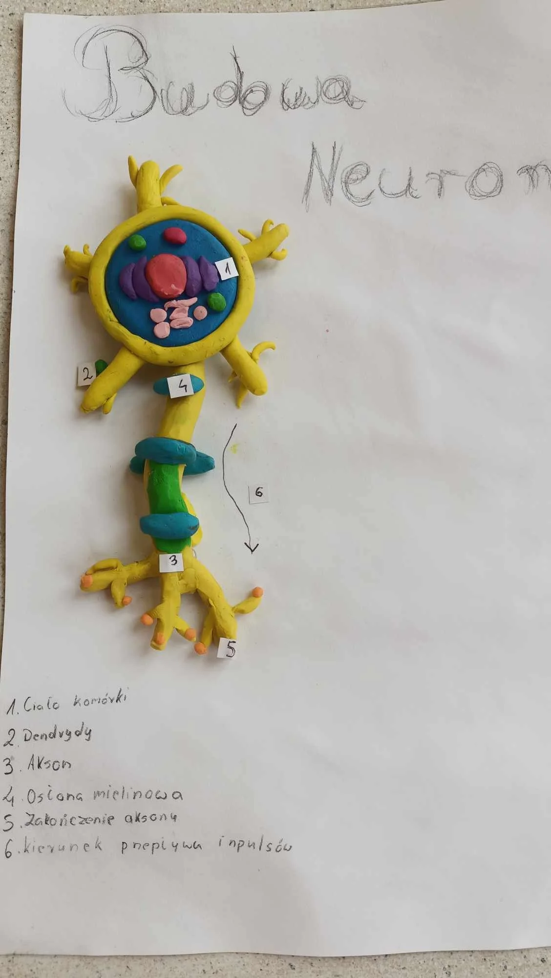 received_908685837605221.jpeg
