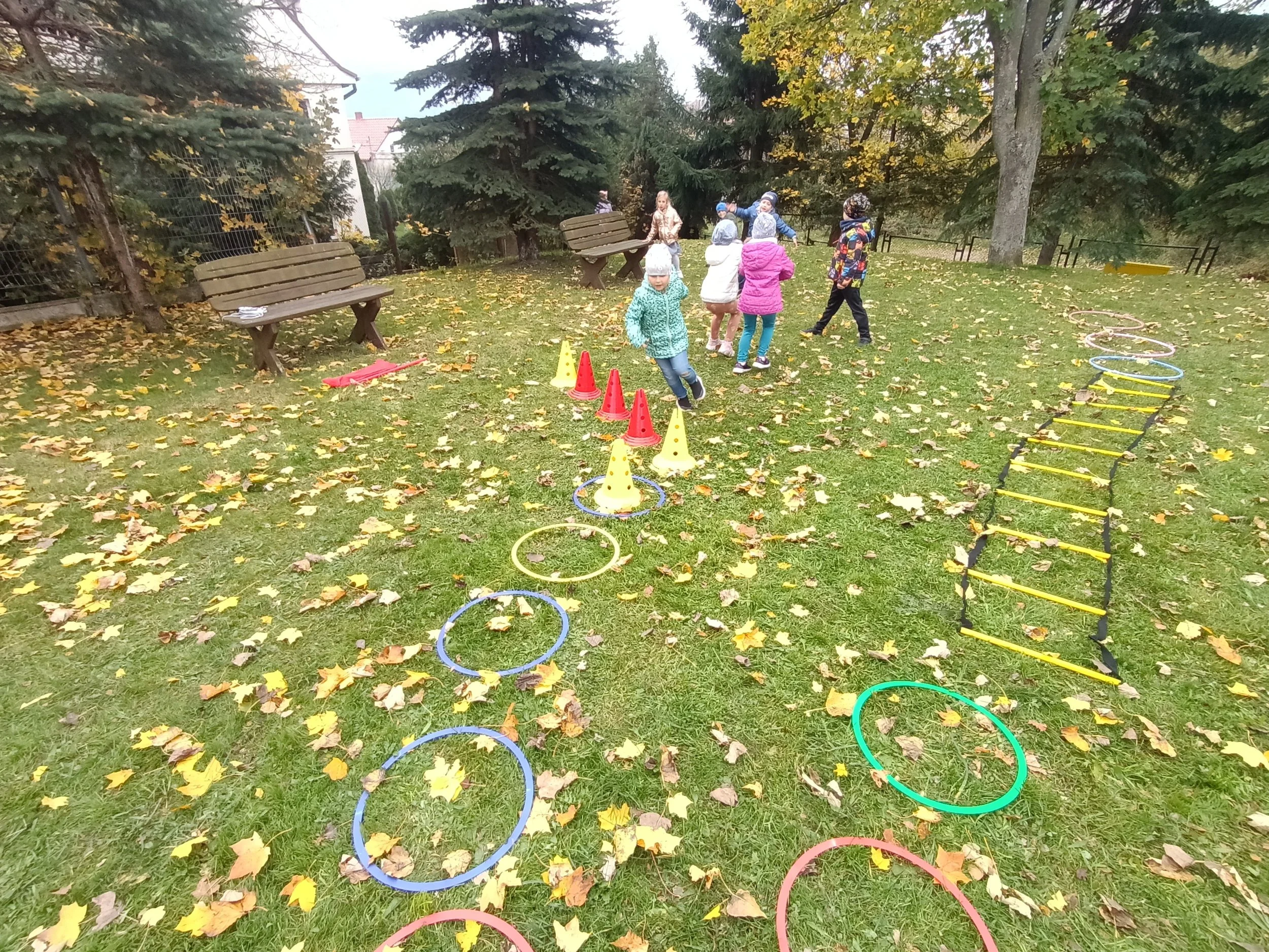 IMG20241025111212.jpg