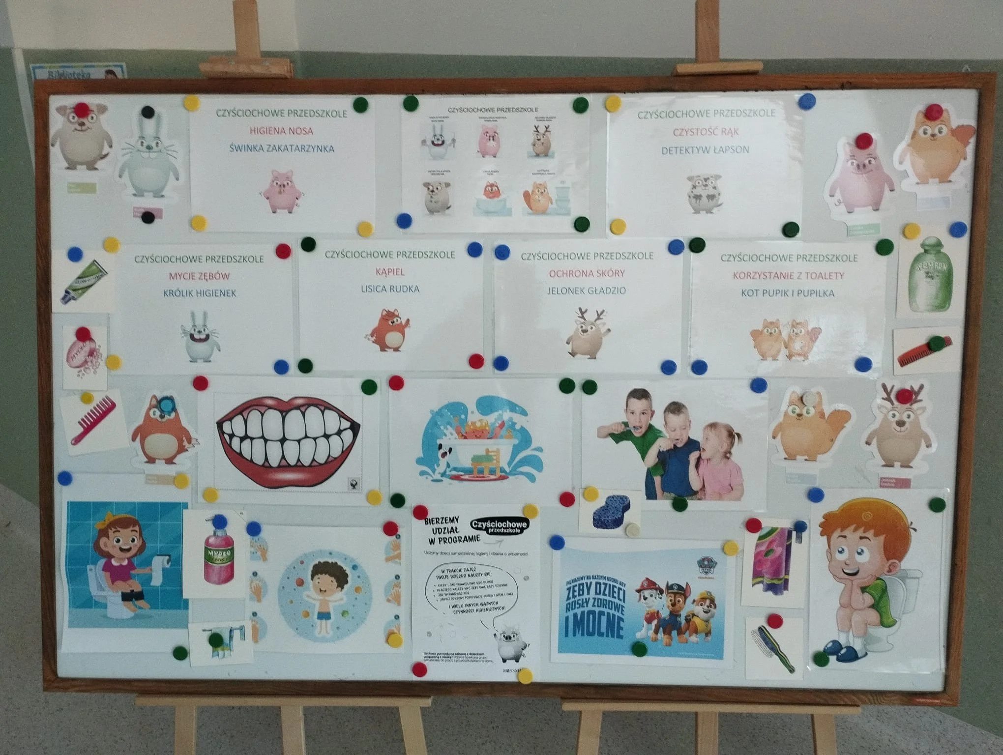 CZYŚCIOCHOWE PRZEDSZKOLE 2026