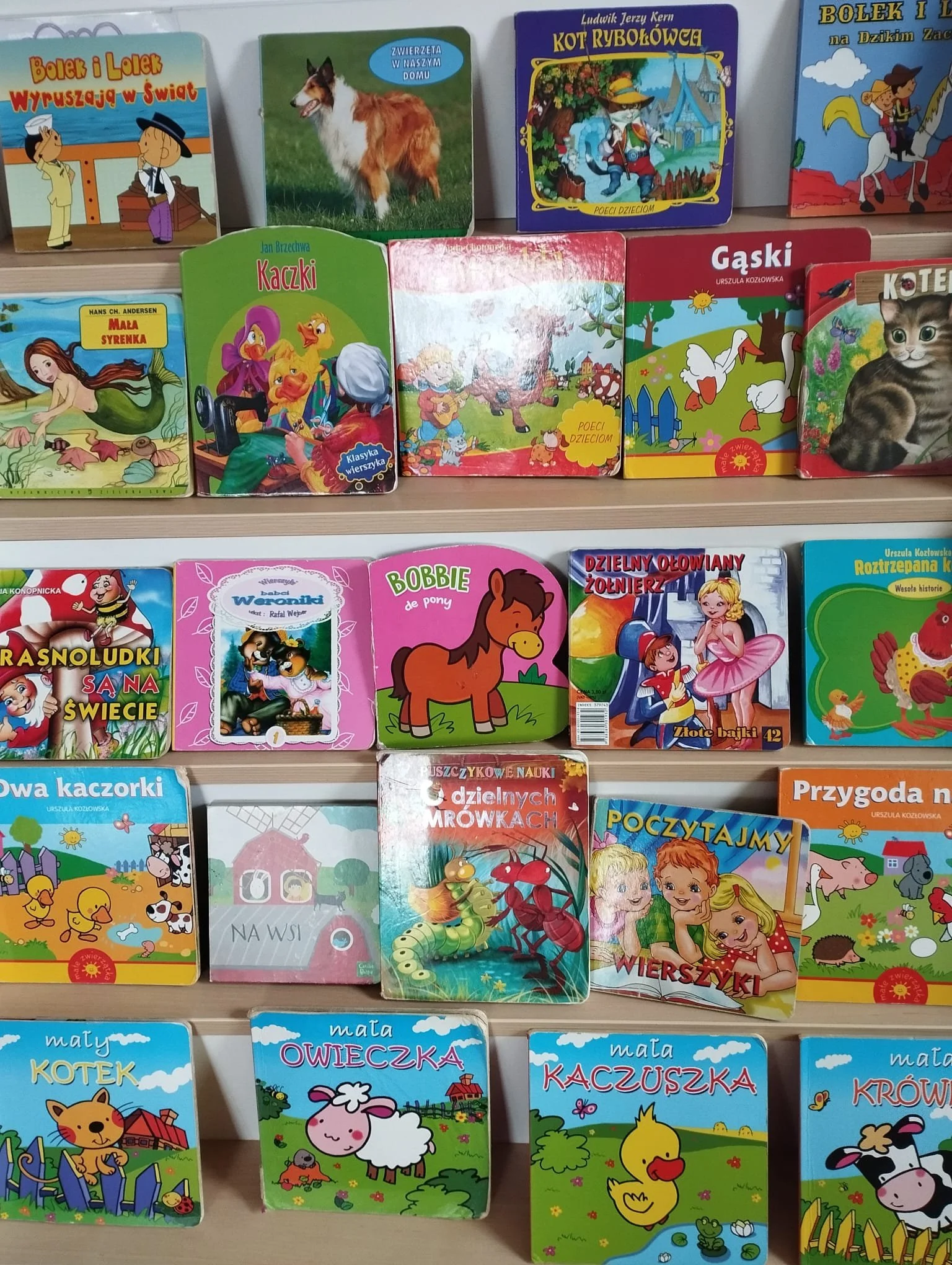 KSIĄŻKA DLA PRZEDSZKOLAKA ORAZ 4 PORY ROKU W SALACH