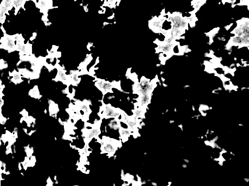albumcover (1).jpg