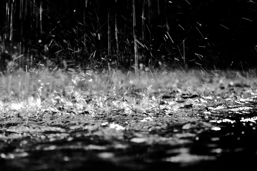 rain_medium (1).jpg