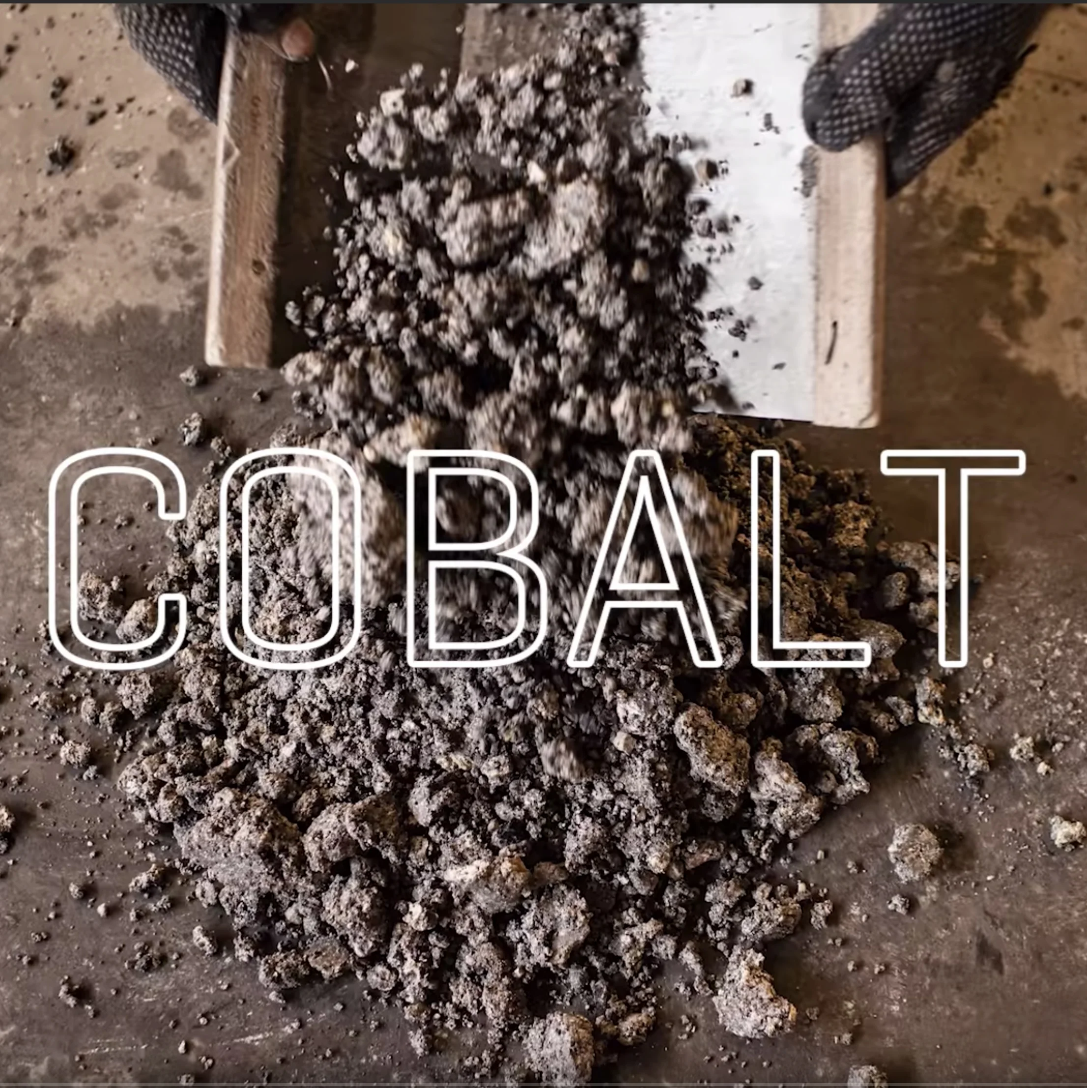 FortuneCobalt.jpg