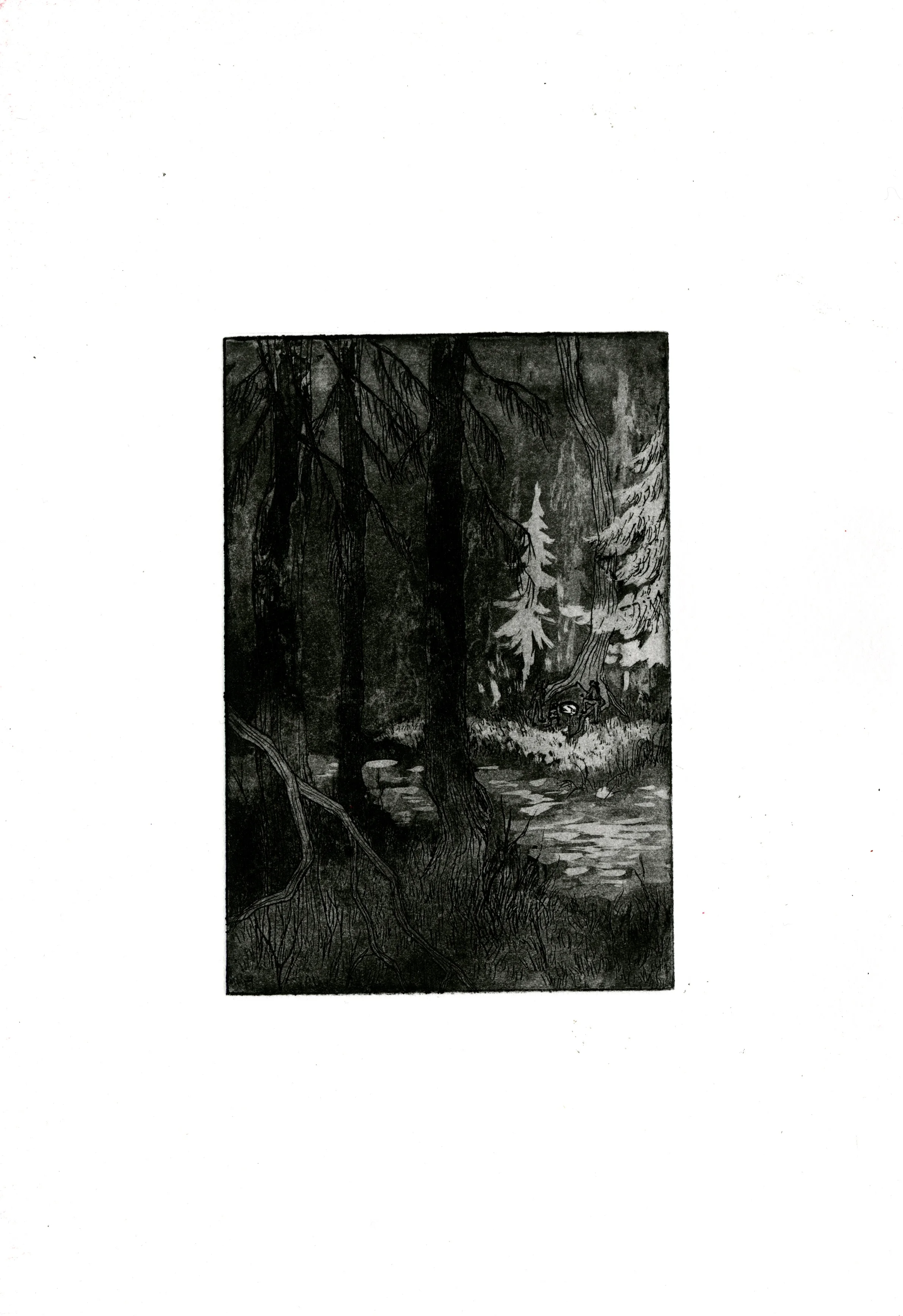 Wolf Alice 01 (The capture).jpeg