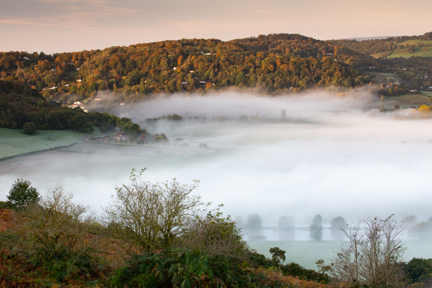 Misty October-1-3.jpg
