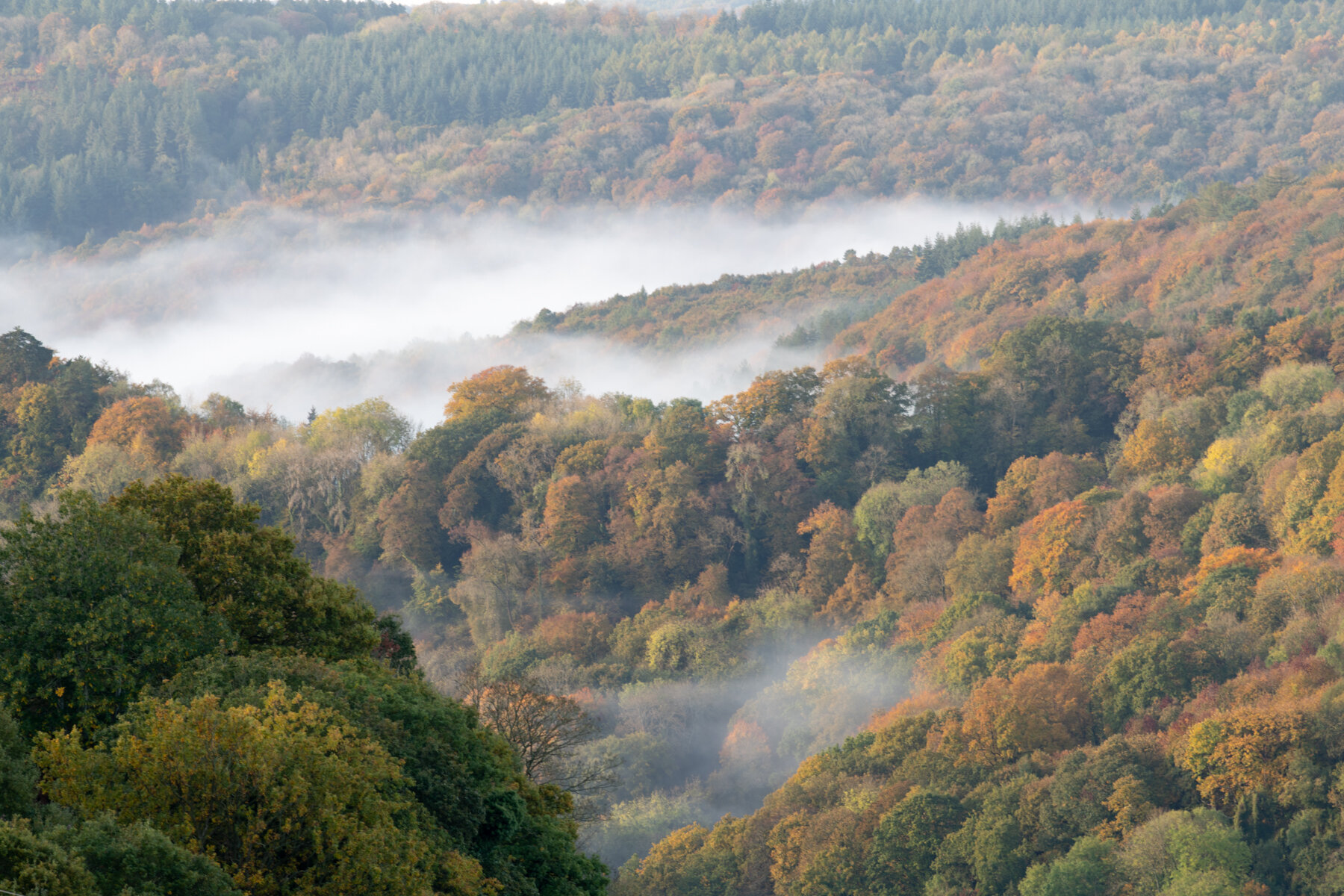 Misty October-1-2.jpg