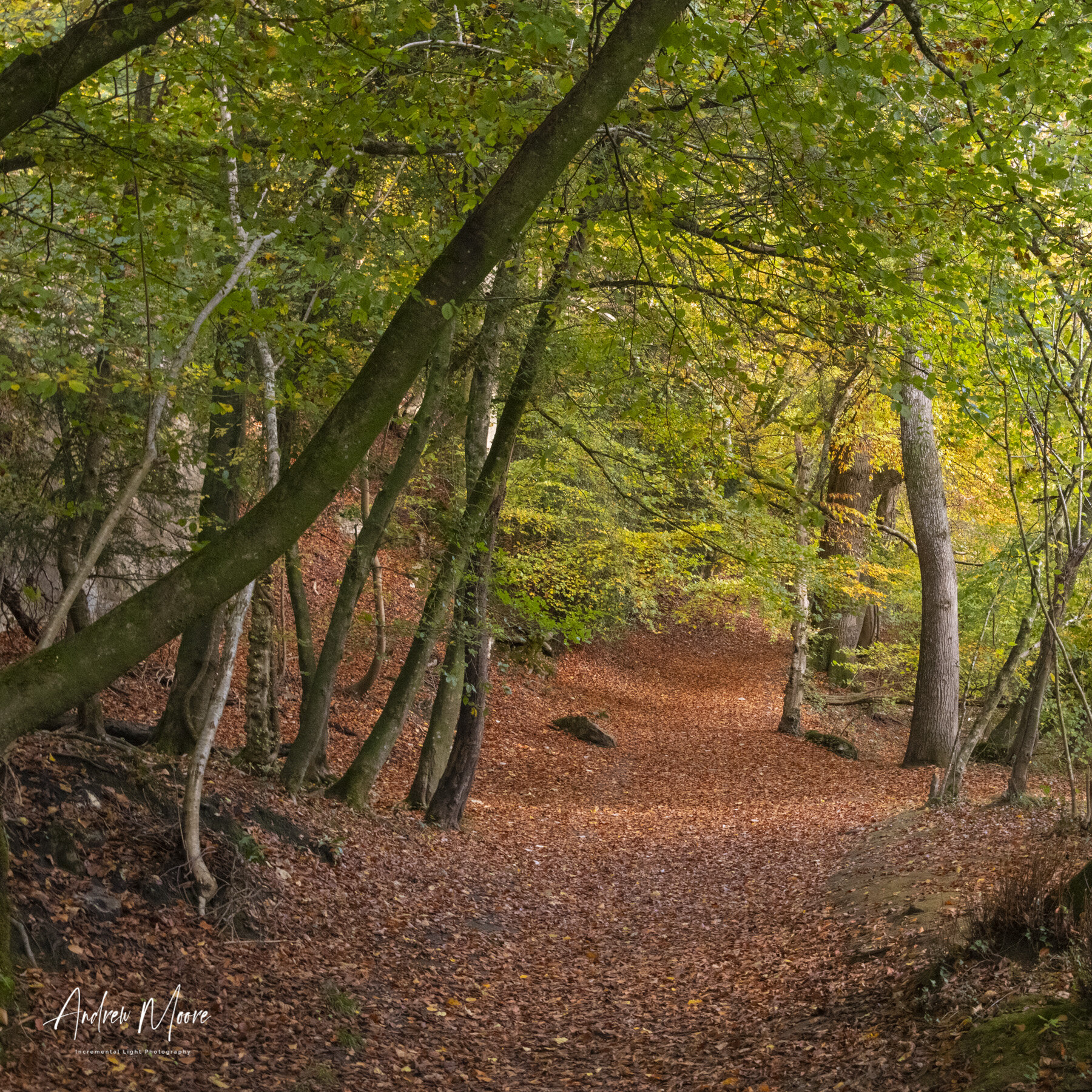Wye Valley-26.jpg