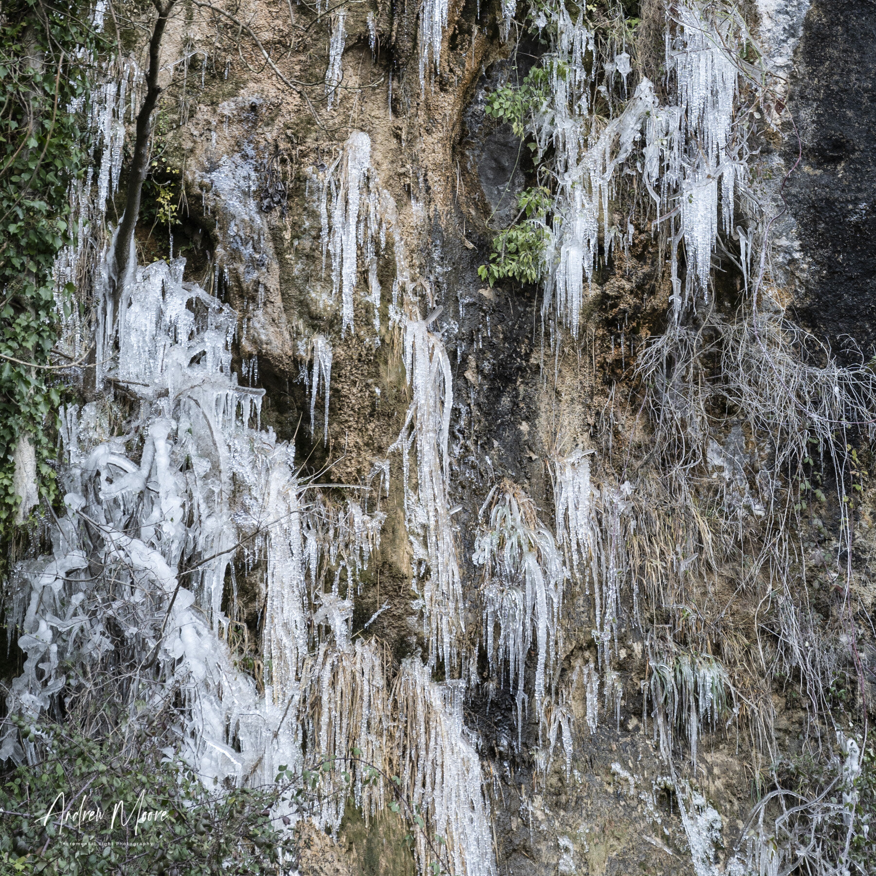 Winter takes hold