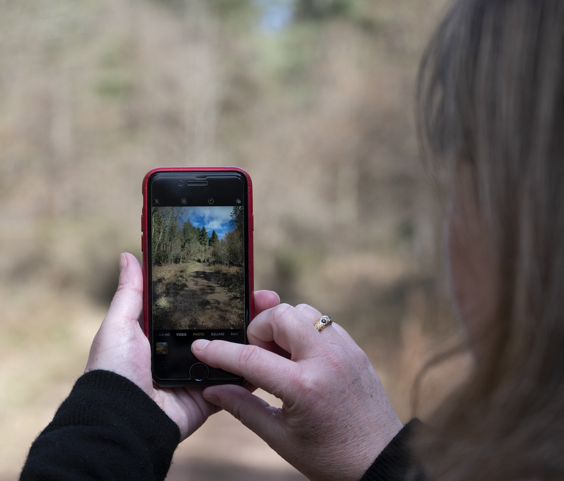 Picture in Picture