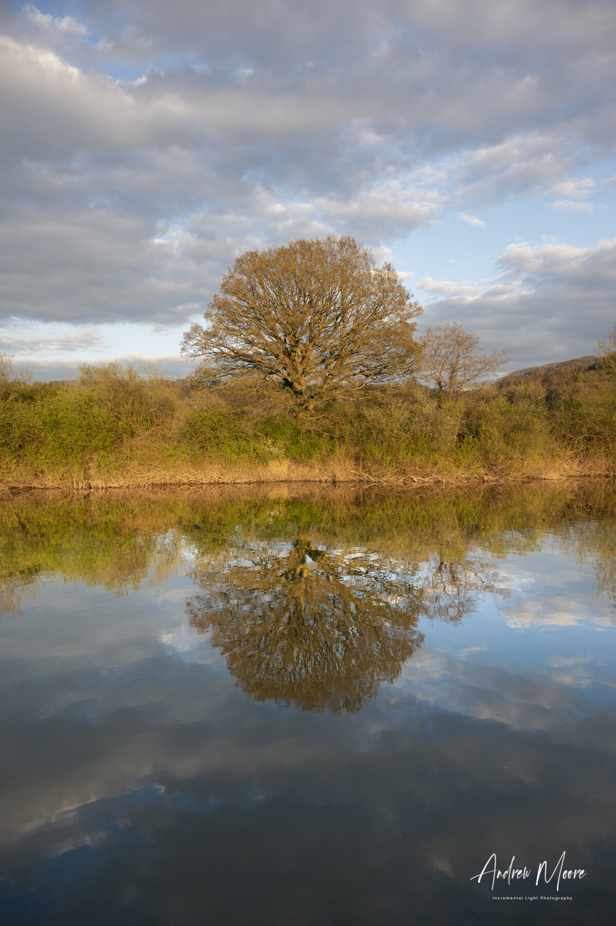 The Evening Light