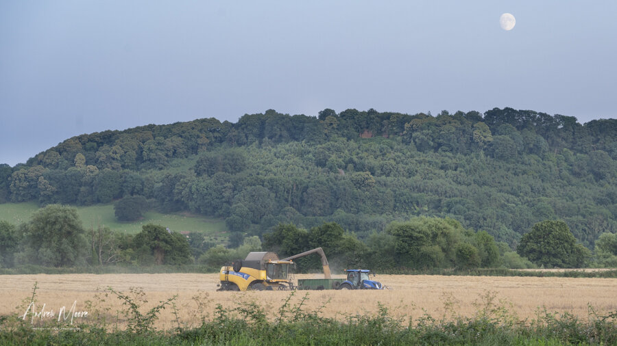 Harvest Moon