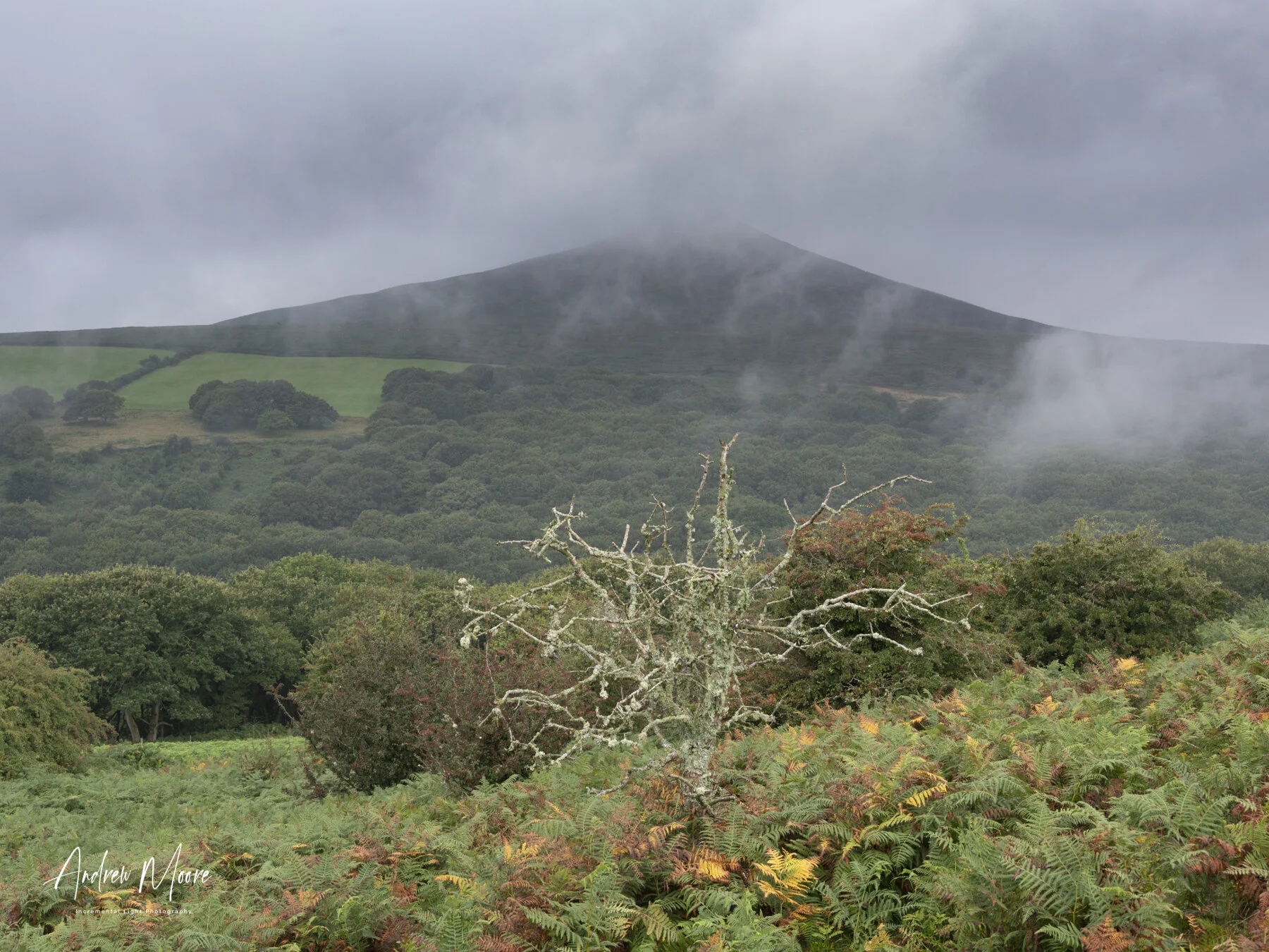 We Broke Out Of The Forest Onto the RidgeWhere we caught glimpses of Sugarloaf Mountain through the clouds (and mist and rain and brilliant sunshine). You have to love the British weather, all seasons in one day.