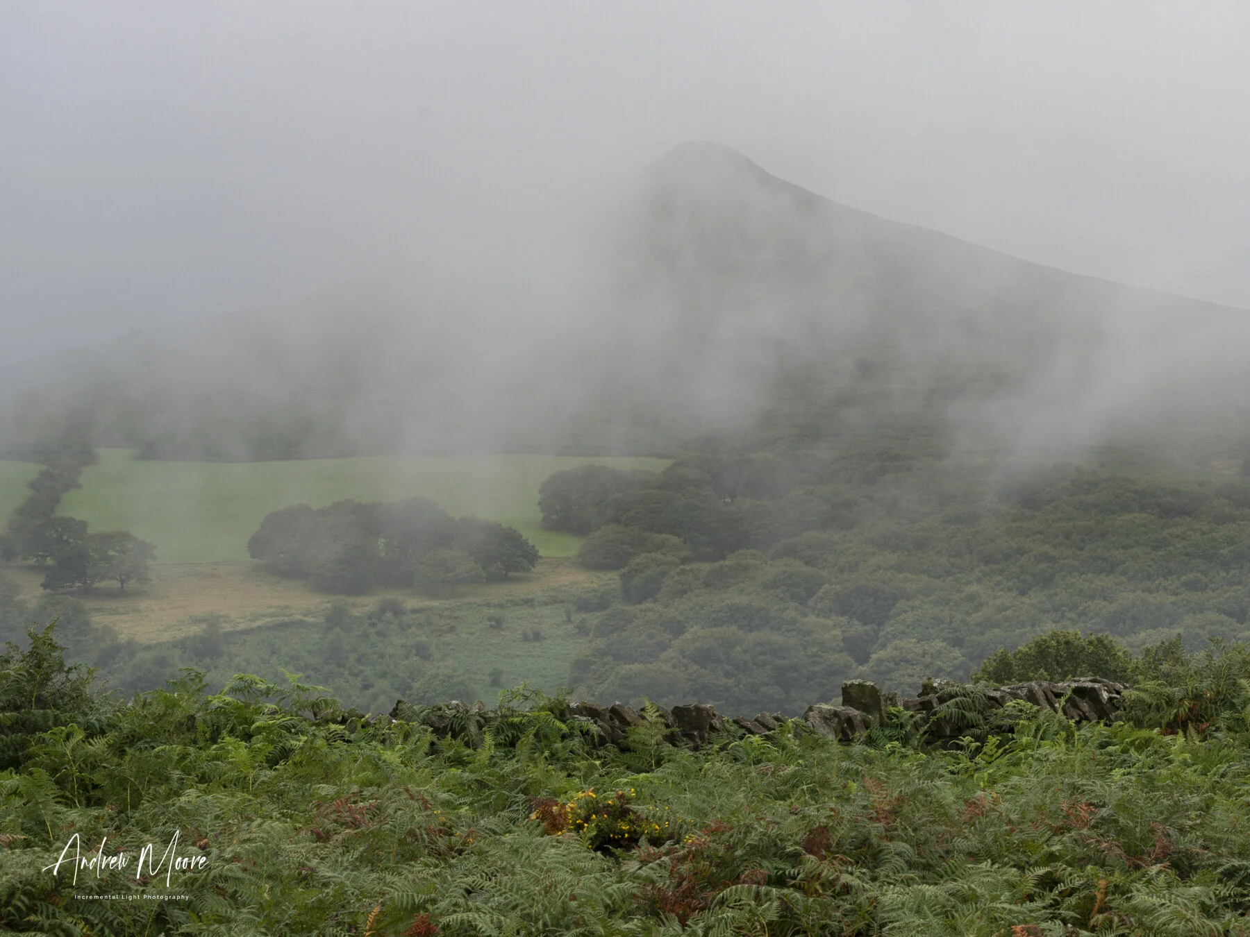 It’s Up There SomewhereViews of the mountain came and went as the weather cycled through  mist, rain and sunshine.