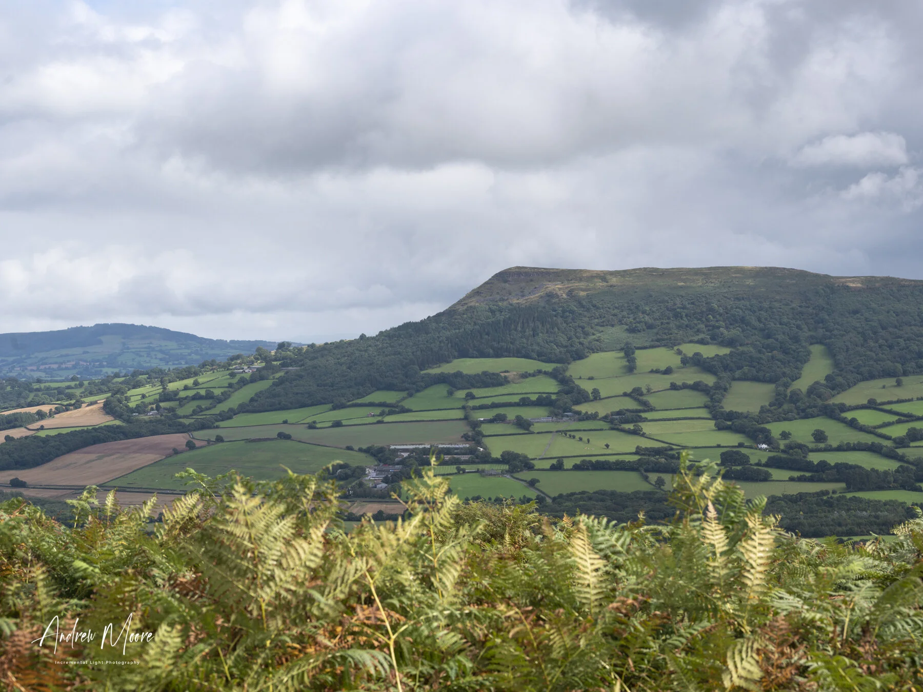 A Final Glimpse of SkirridA final look at Skirrid Mountain before descending back through the oak forest to the car and the journey home.