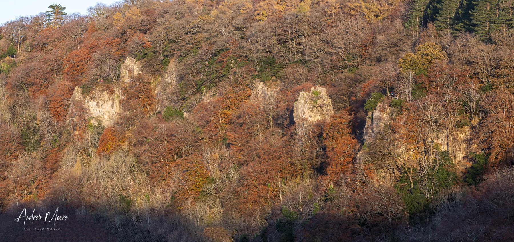 Symonds Yat East Lit By The Setting Sun
