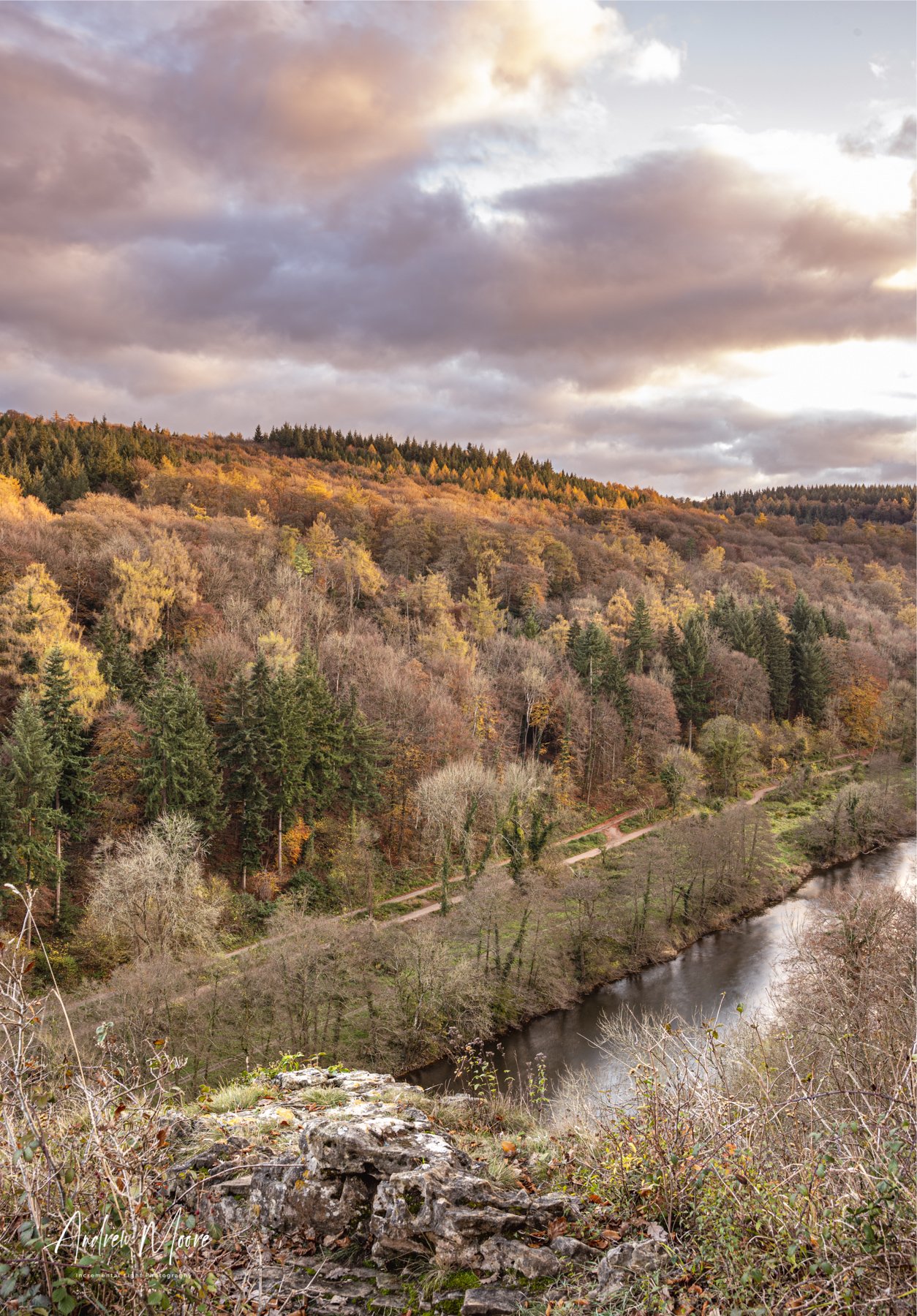 Autumn Light