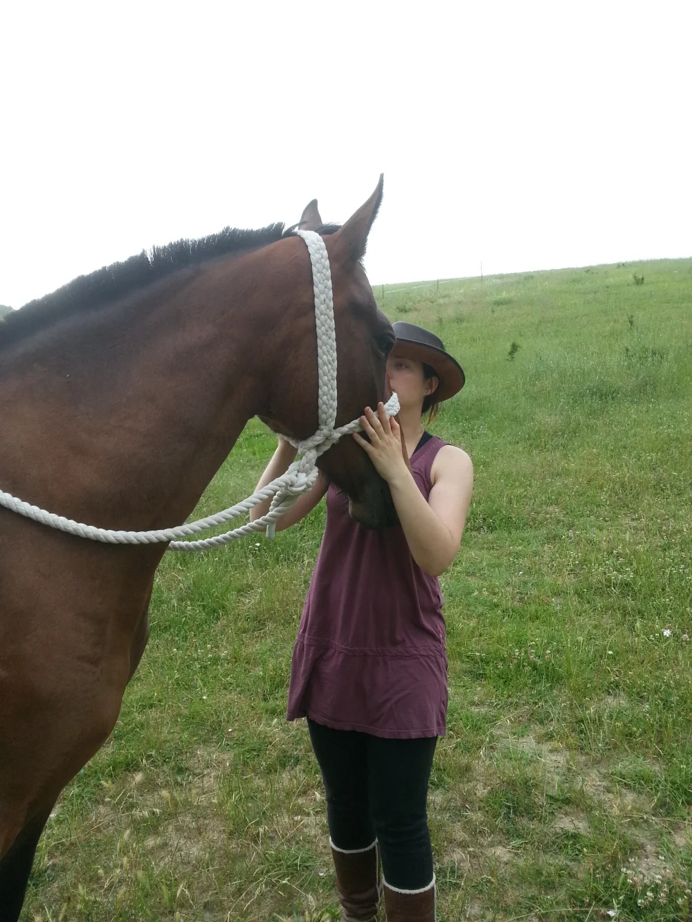 in the field.jpg
