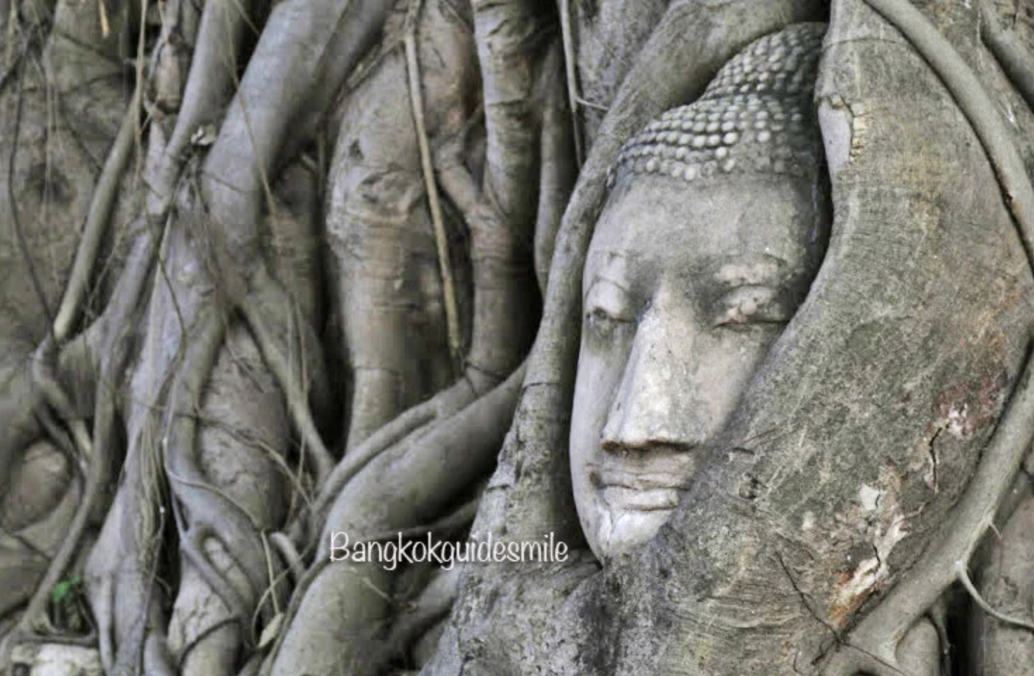 tourists enjoy private tour at Ayutthaya temple with Guide Mandy and Guide Emma