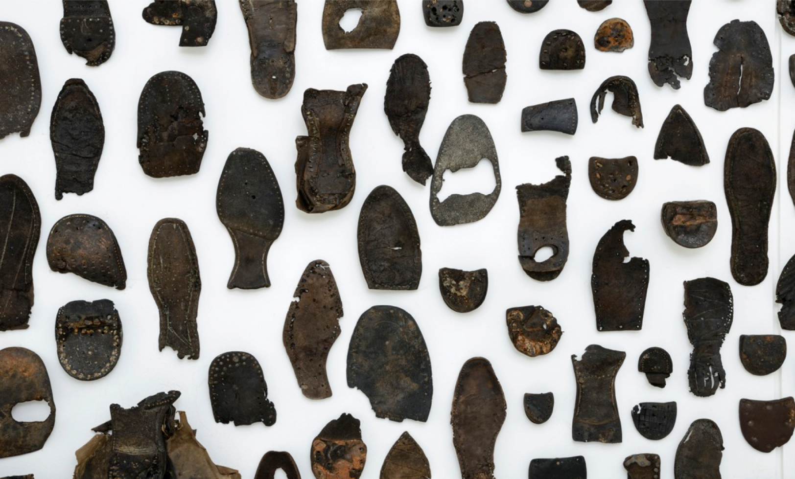 EMERGENCE OF CHAOS 2.png