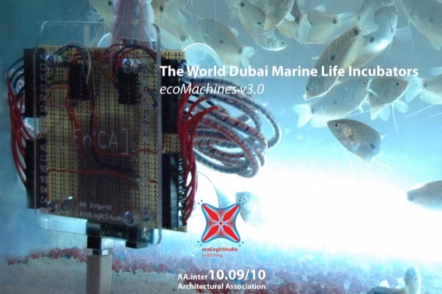 AA+THE+WORLD+DUBAI+CORAL++BOOK+Image+06-08-2019+at+14.47.jpg