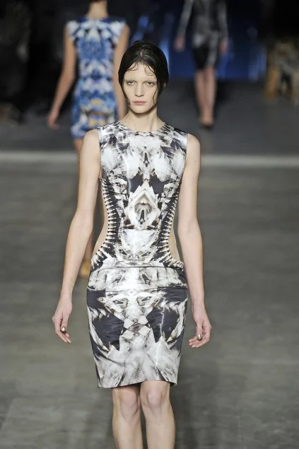 Alexander McQueen Dress, 2009. #227