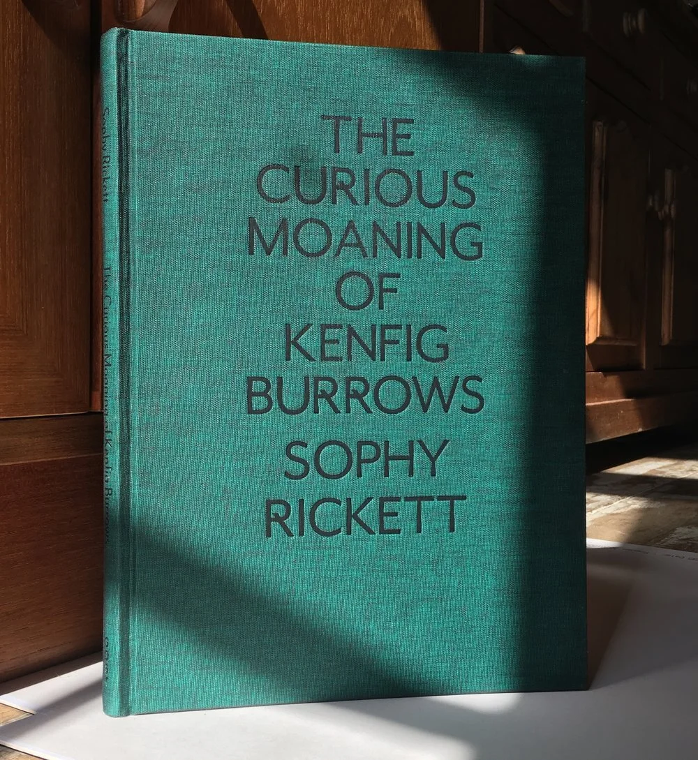 New publication - The Curious Moaning of Kenfig Burrows by Sophy Rickett