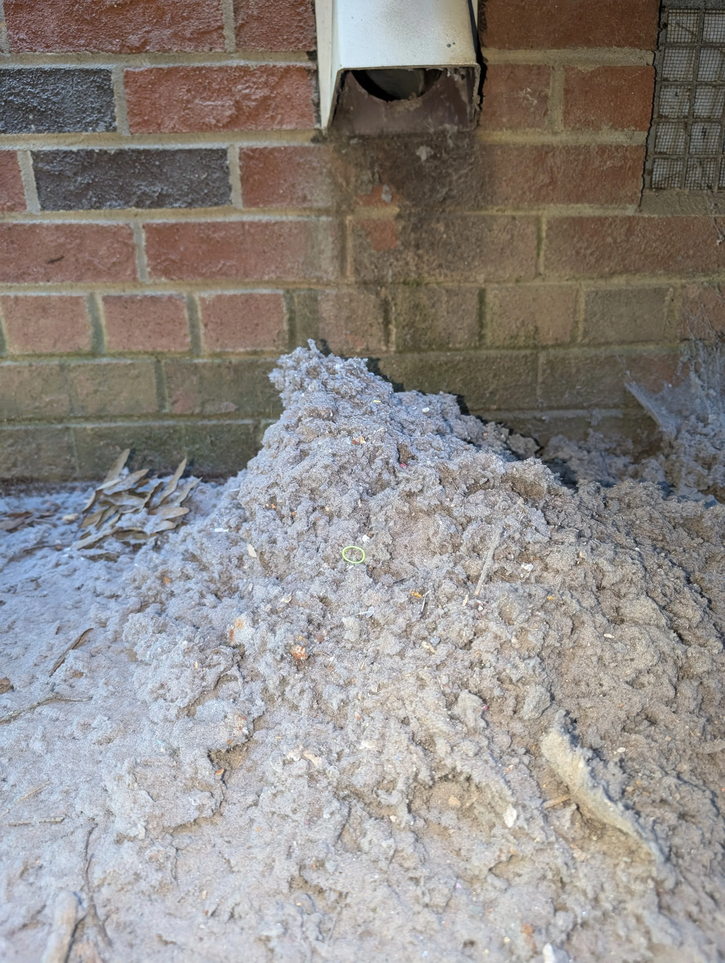 Fresh Air Photo 2.jpg