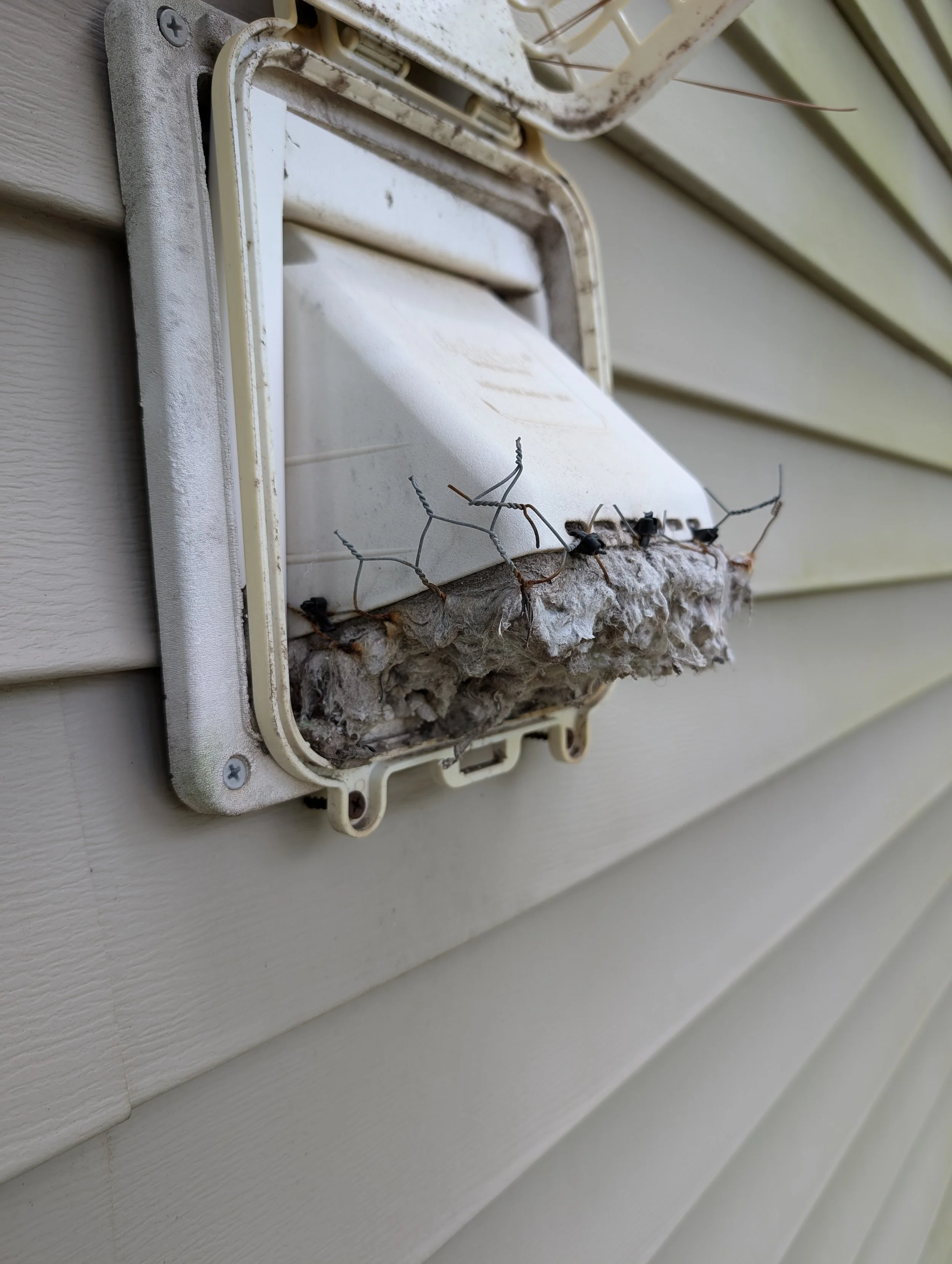 Fresh Air Photo 3.jpg