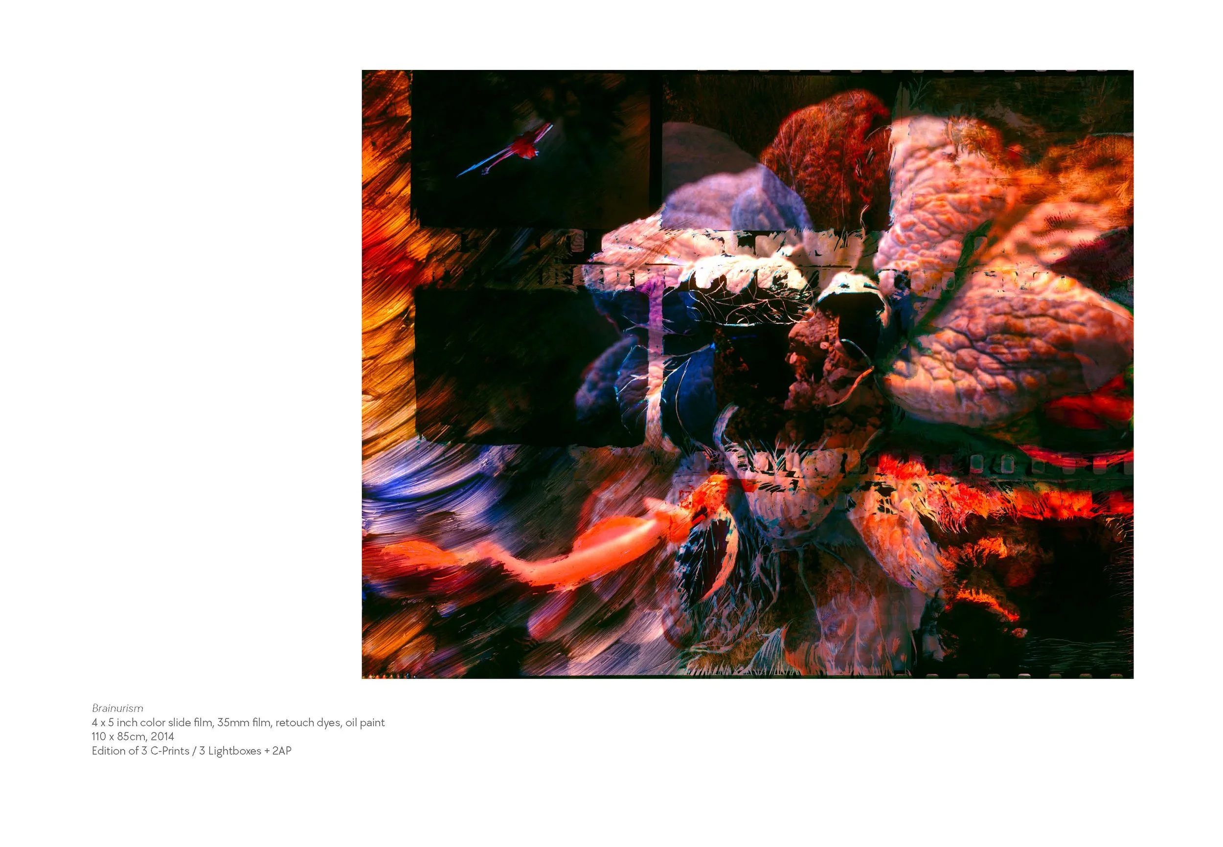 Overview Portfolio Austin Settle_Page_12.jpg