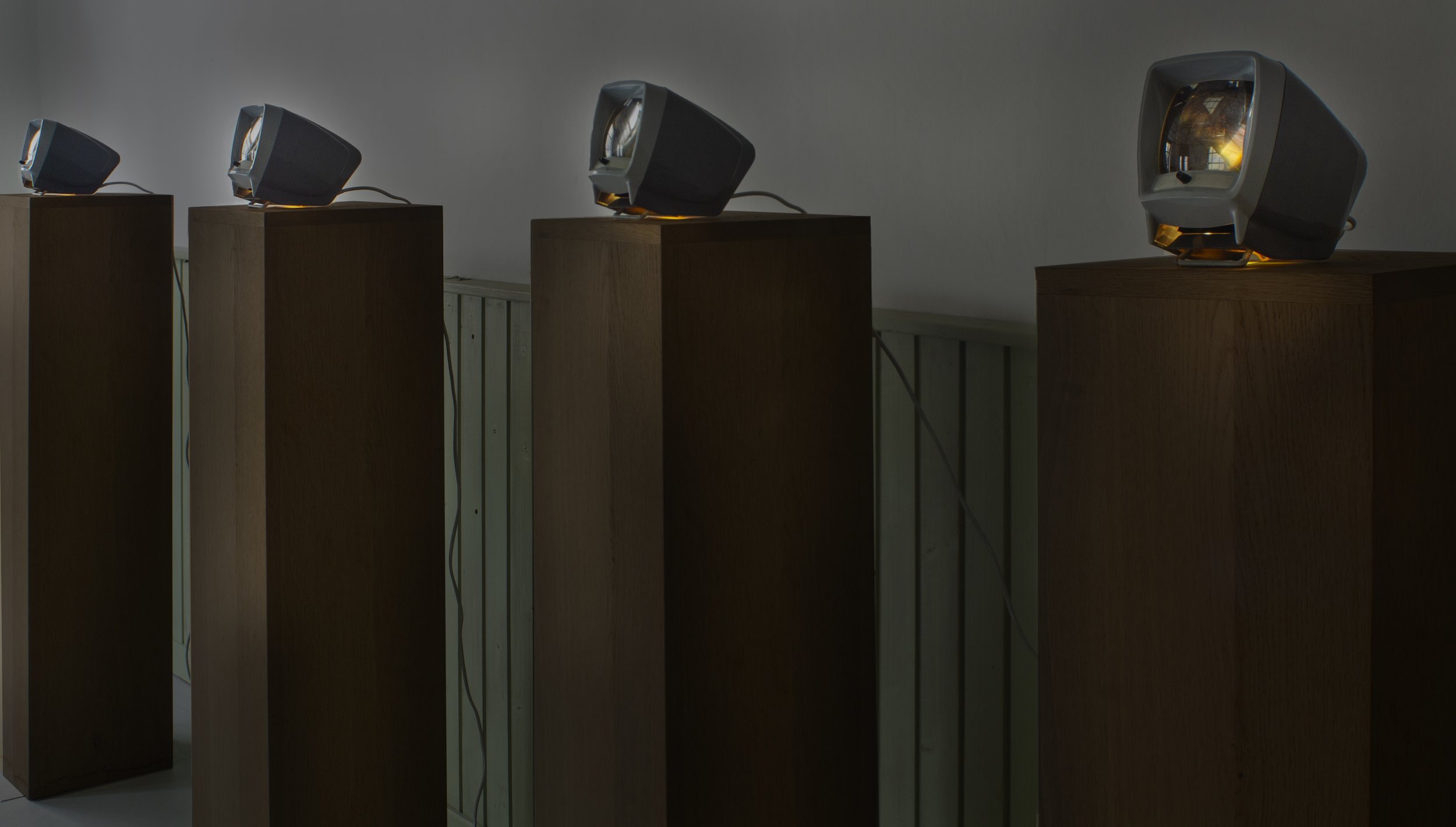 side view day viewers.jpeg
