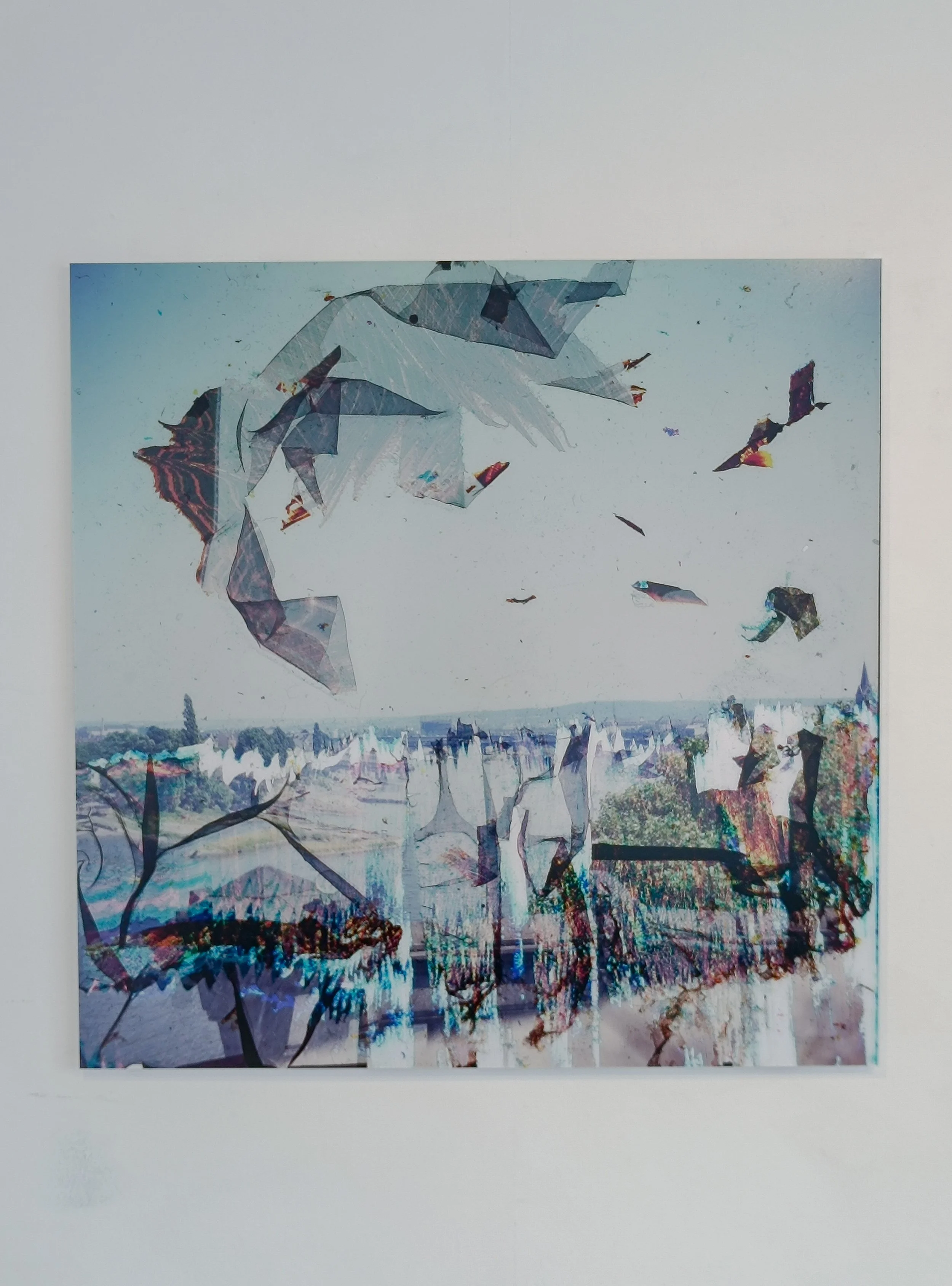 Expanded Photography_Austin Settle_Substraaktion I