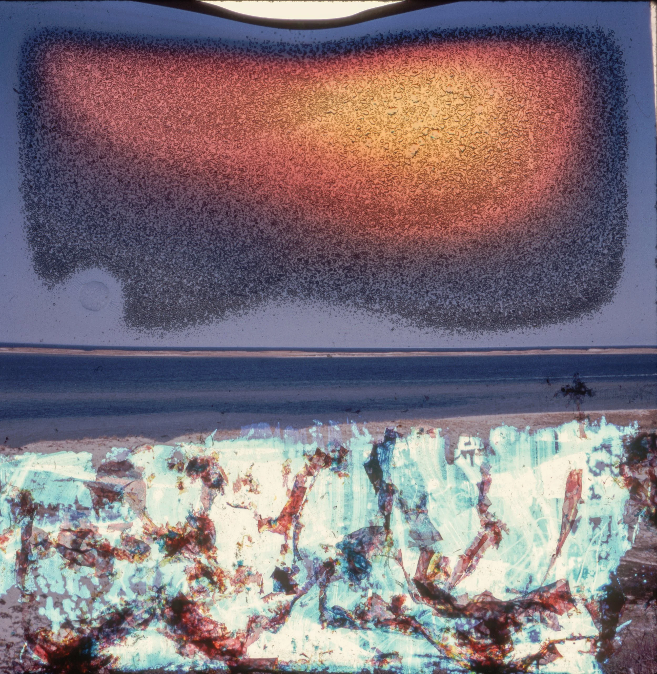 Seascape I
35mm color slide film
Size variable, 2025
Edition of 5 + 2AP