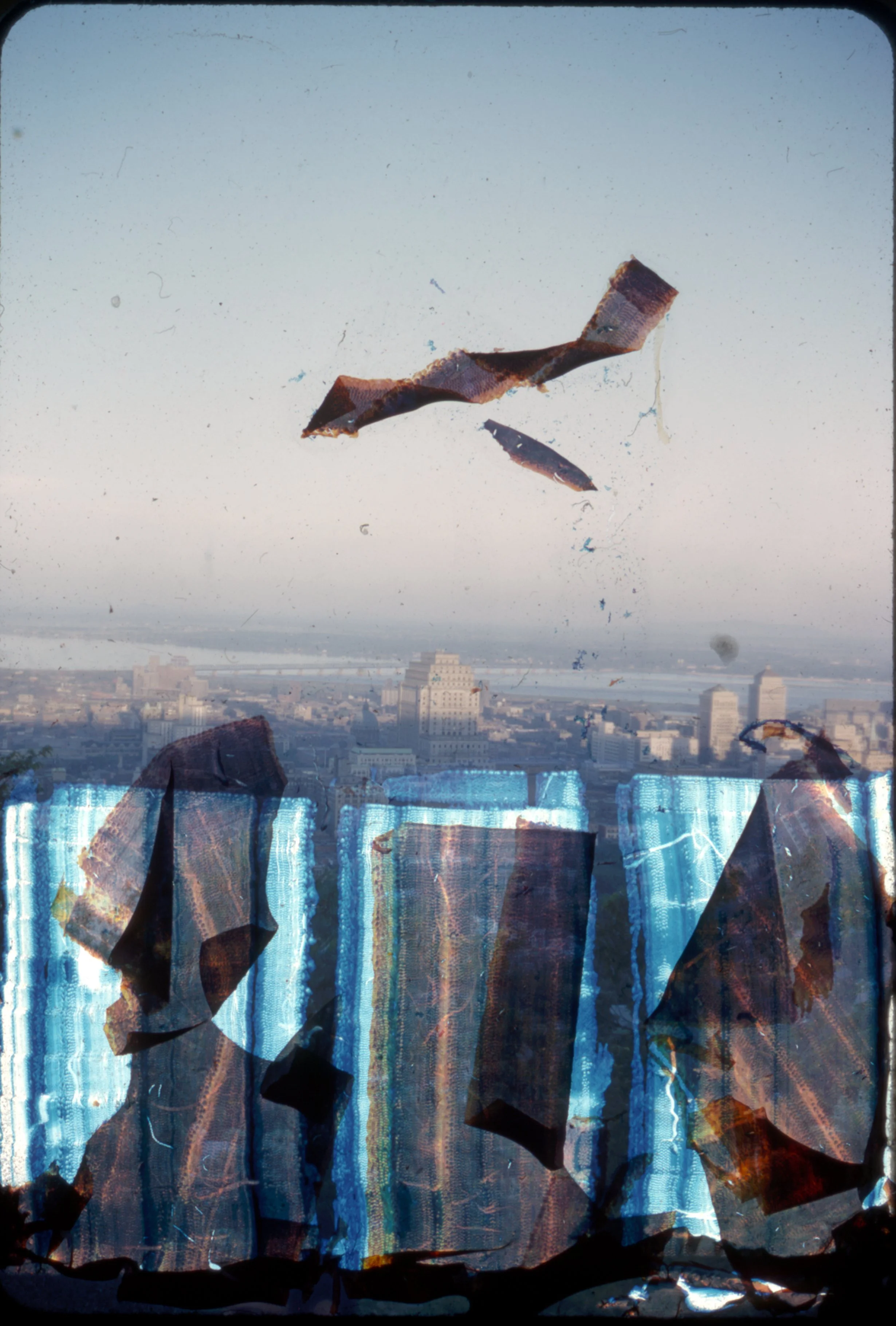 Untitled 35mm color slide film Size variable, 2025 Edition of 5 + 2AP