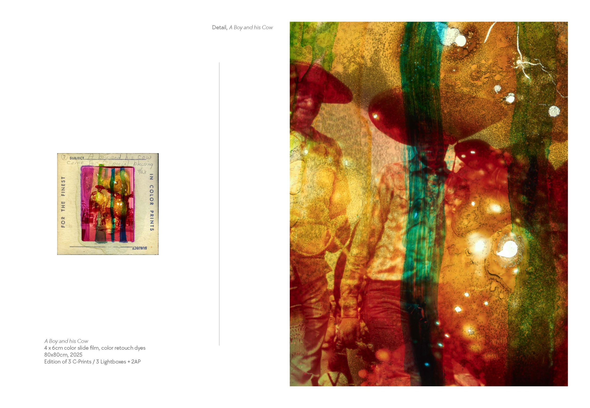 Overview Portfolio Austin Settle_Page_04.jpg