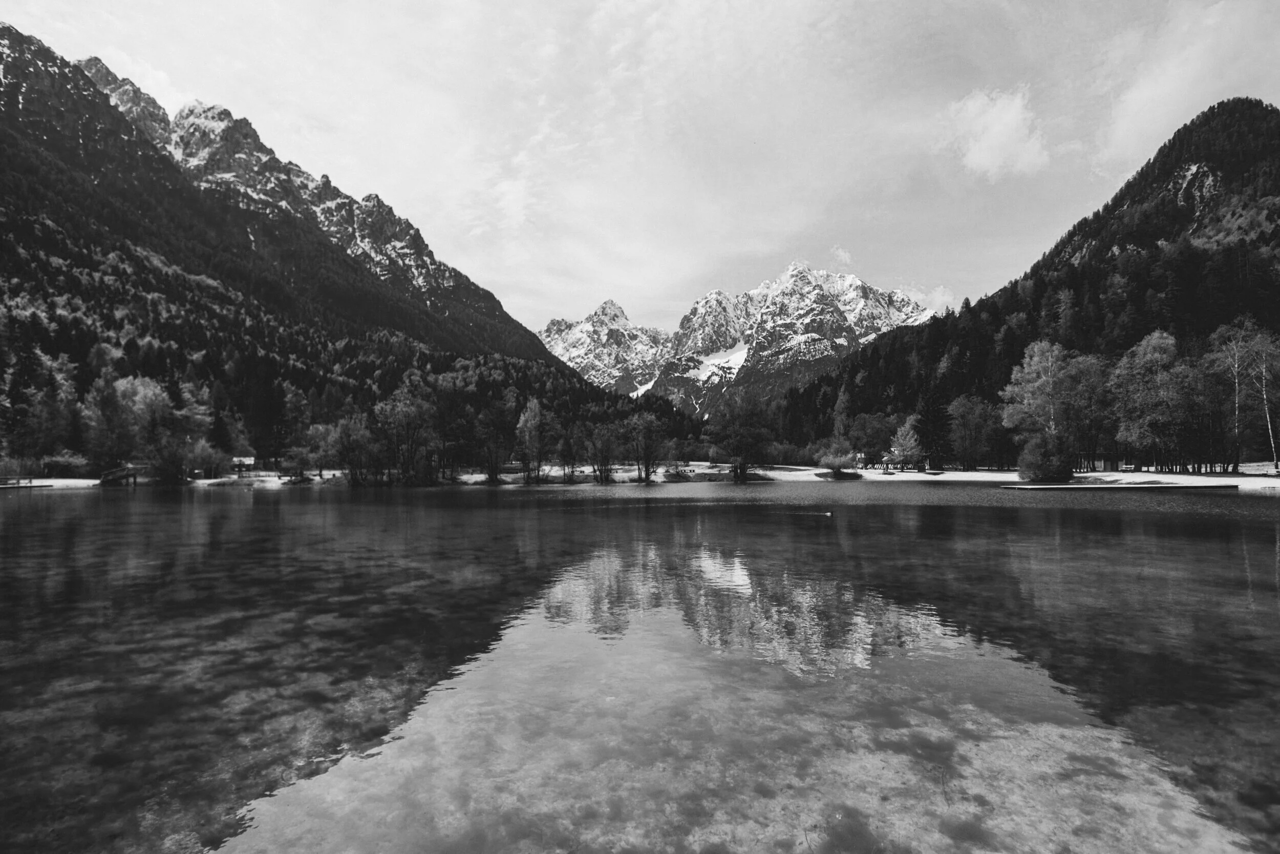 adam-vradenburg-GA09PKfRIQY-unsplash.jpg