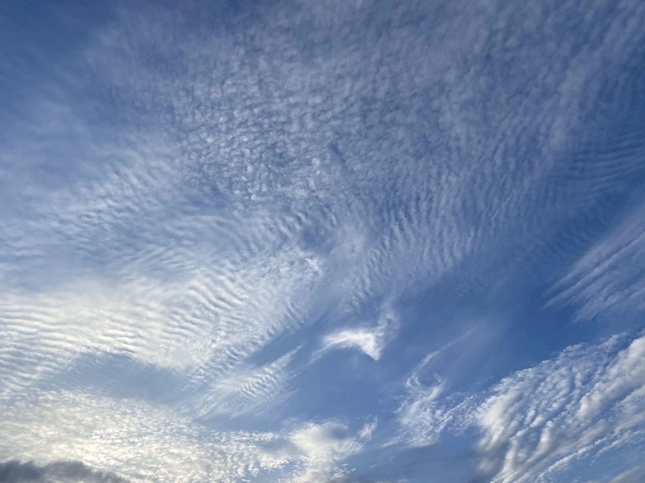 Presence With Being - recording