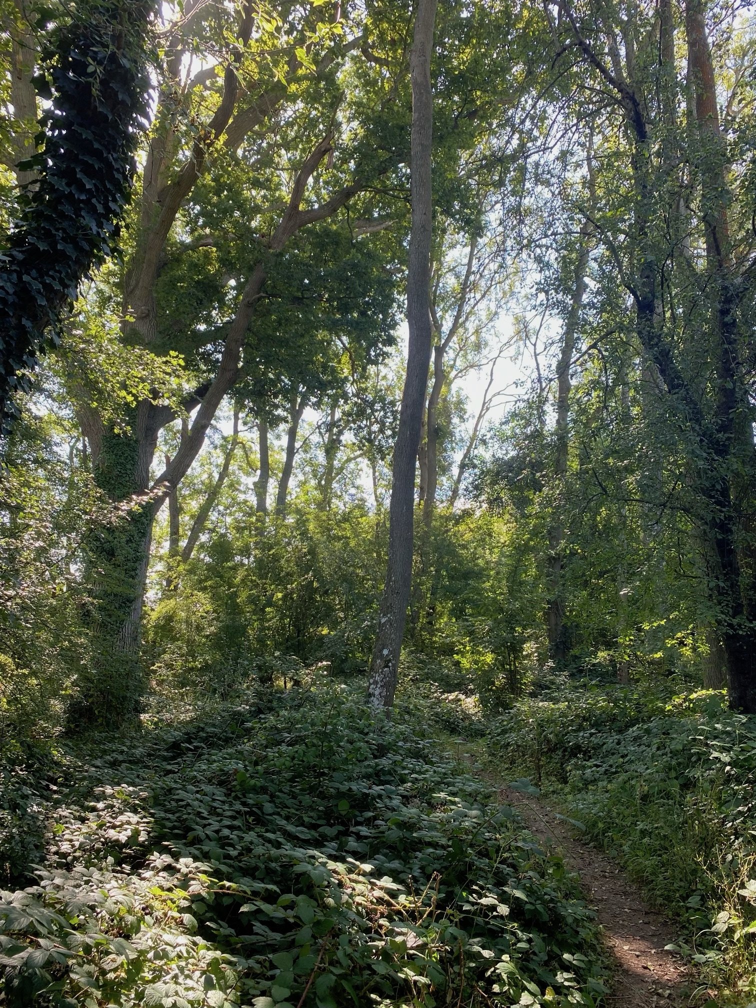 Autumn Equinox Day/Weekend Retreat, Sussex
