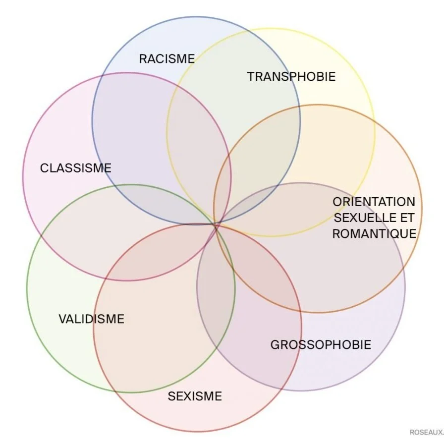 Illustration de l’article Kimberlé Crenshaw, l’intersectionnalité et le féminisme français, roseaux.co
