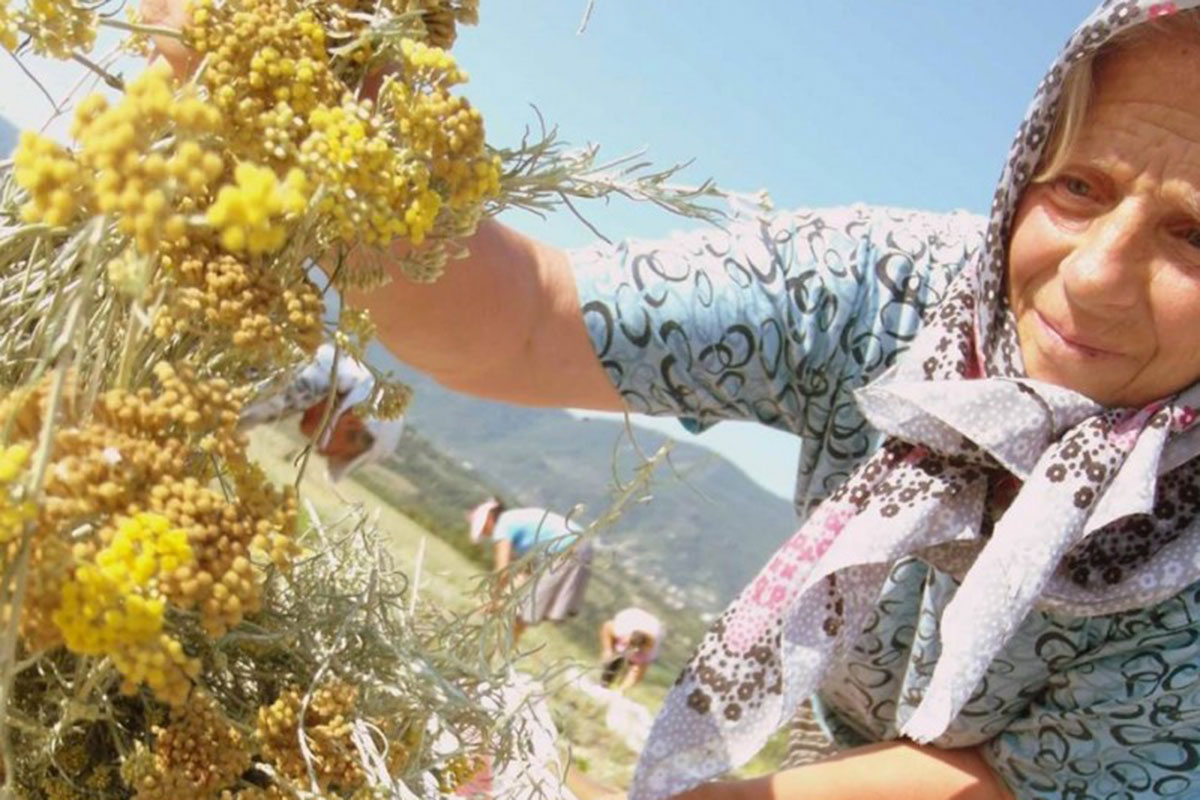 St George Organic Herb Farm