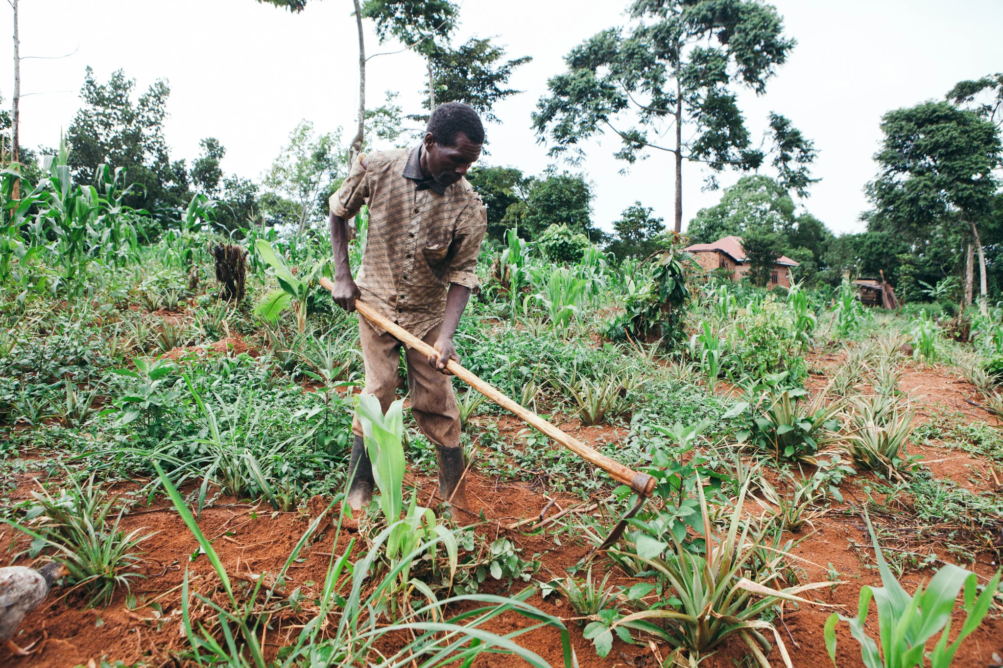 Jali Organic Farmer.jpg