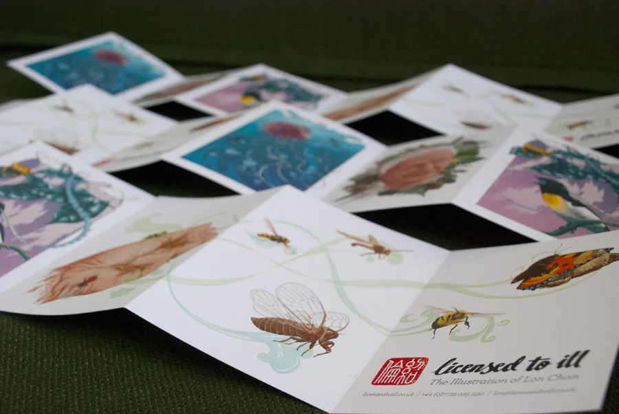 mailer-4.jpg