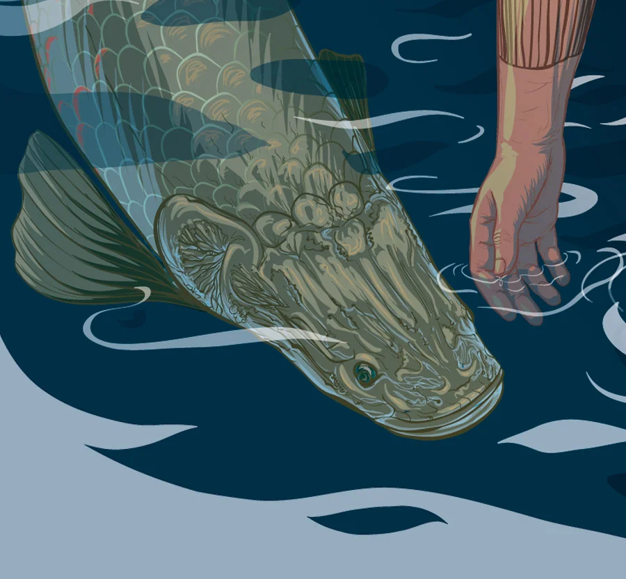 web-bbc-arapaima.jpg