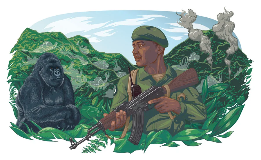 web-BBC-wildlife-gorilla.jpg