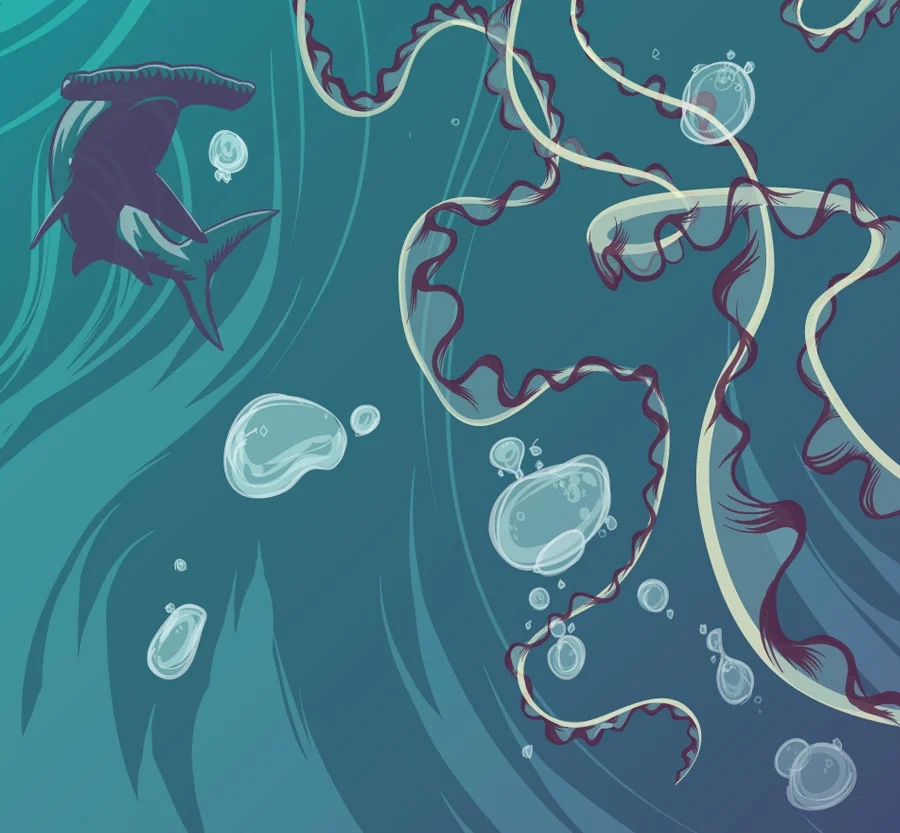 web-jelly-close-up.jpg