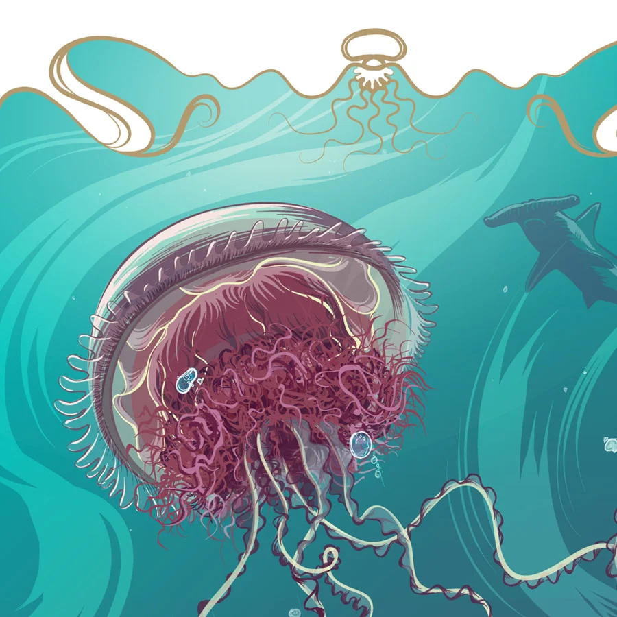 web-jelly-detail.jpg