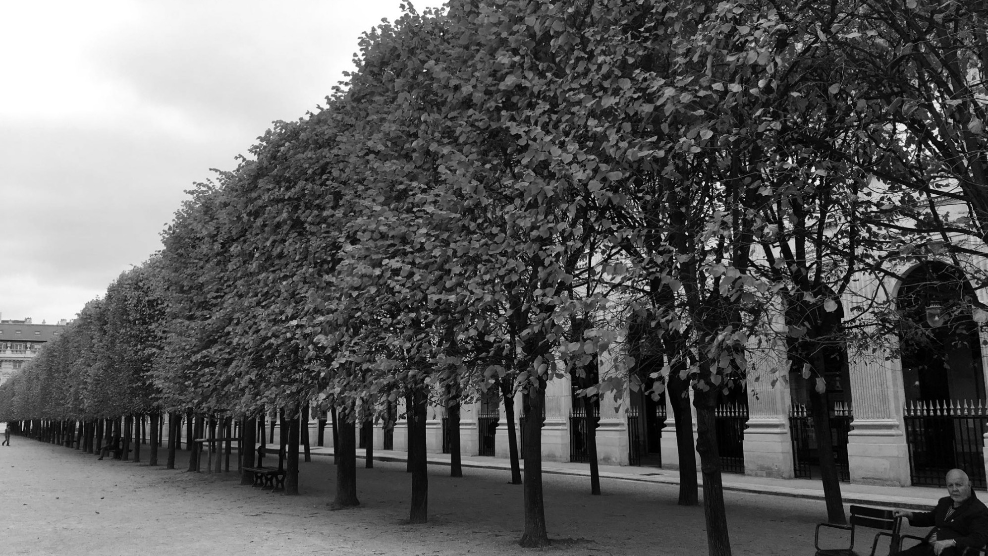 Strolling in Paris, 2009.
